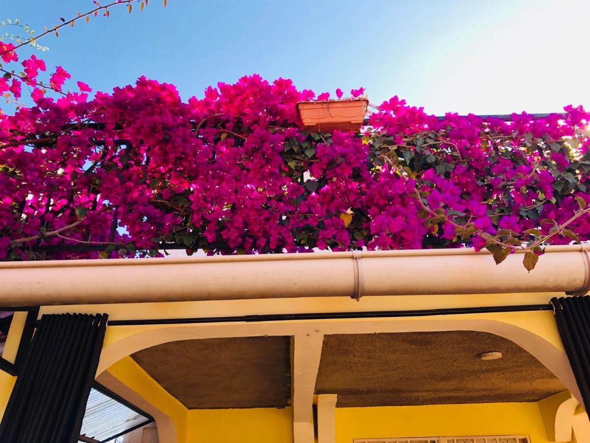 Petite Flower Guest House Talata-maty Εξωτερικό φωτογραφία