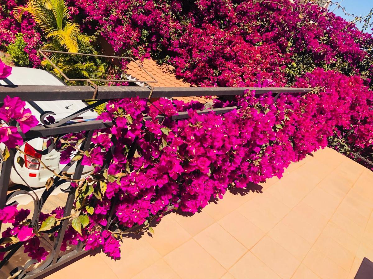 Petite Flower Guest House Talata-maty Εξωτερικό φωτογραφία